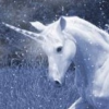 unicornu'