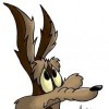 Coyoty