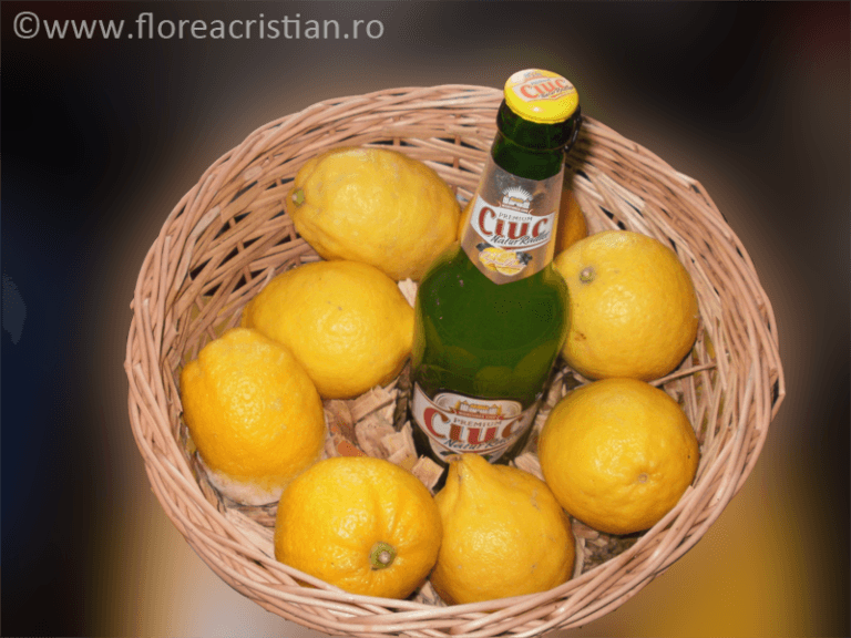 ciuc premium natur radler