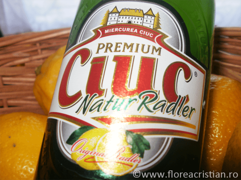 ciuc premium natur radler