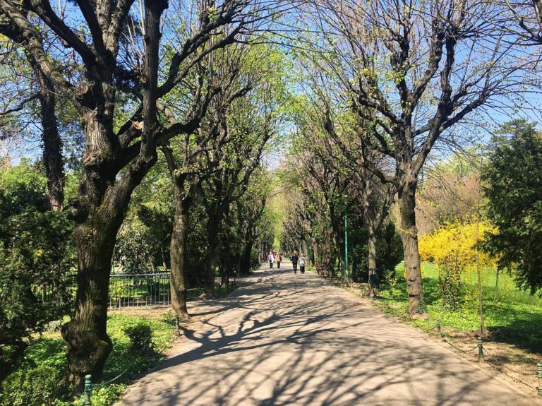 Mai ai 3 zile la dispoziție ca să votezi proiectul preferat din platforma Propune pentru București 5 | Cristian Florea Bucuresti