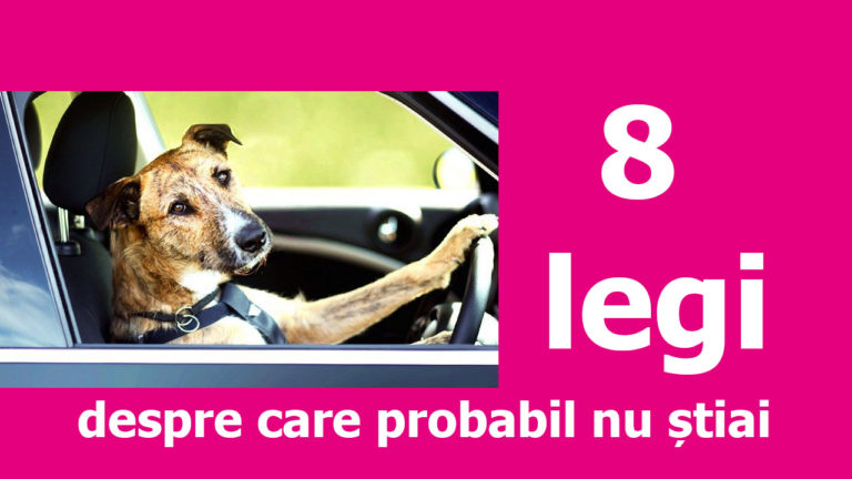 legi despre care probabil nu stiai