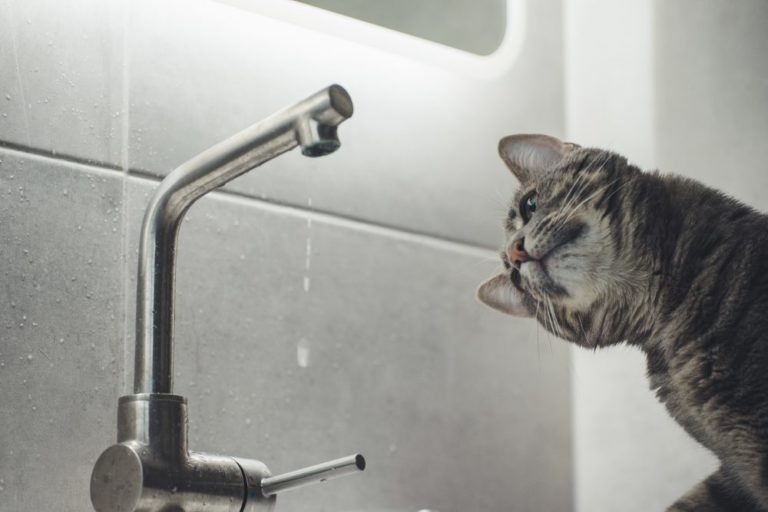 Mi-am analizat activitățile și am încercat să economisesc energie. Uite cum a fost - Photo by Kazuky Akayashi