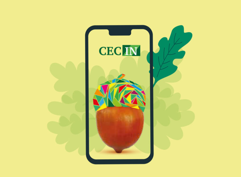 La CEC poți să-ți faci cont și card 100% online, fără să mergi la ghișeu. Tocmai am testat