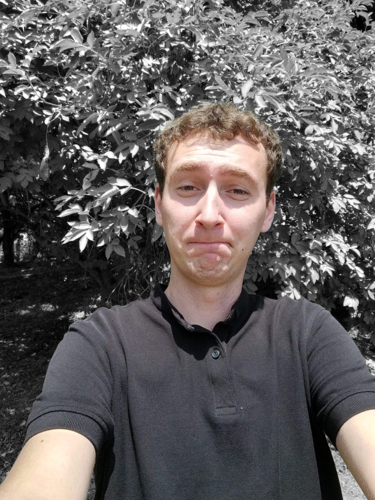 AI Color Portrait