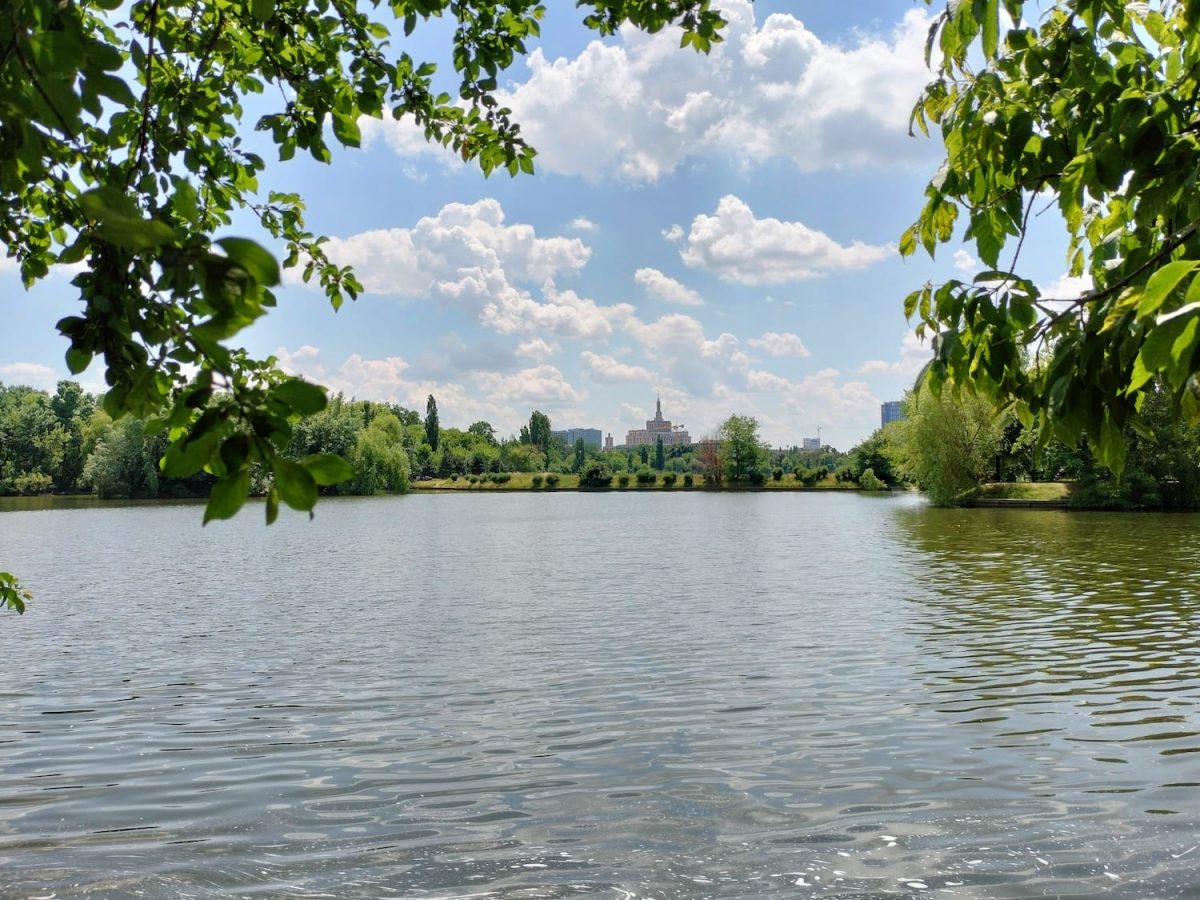 Foto cu camera din spate, cu funcția AI și HDR active